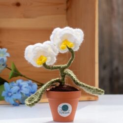 Patron au crochet : Orchidée en pot