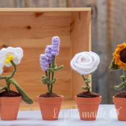 Patron au crochet : Fleurs en pot