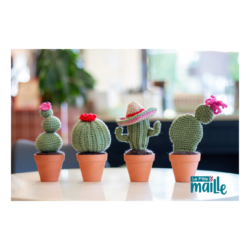 Patron au crochet: Cactus en pot